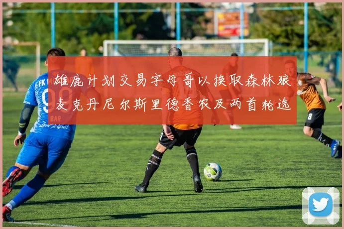雄鹿计划交易字母哥以换取森林狼麦克丹尼尔斯里德香农及两首轮选秀权